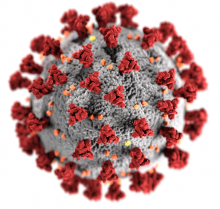 Grafische Darstellung des Sars-Cov2-Virus