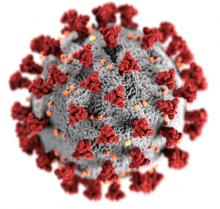 Symbolbild Coronavirus