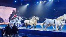 Vier Schimmel ziehen einen Streitwagen
